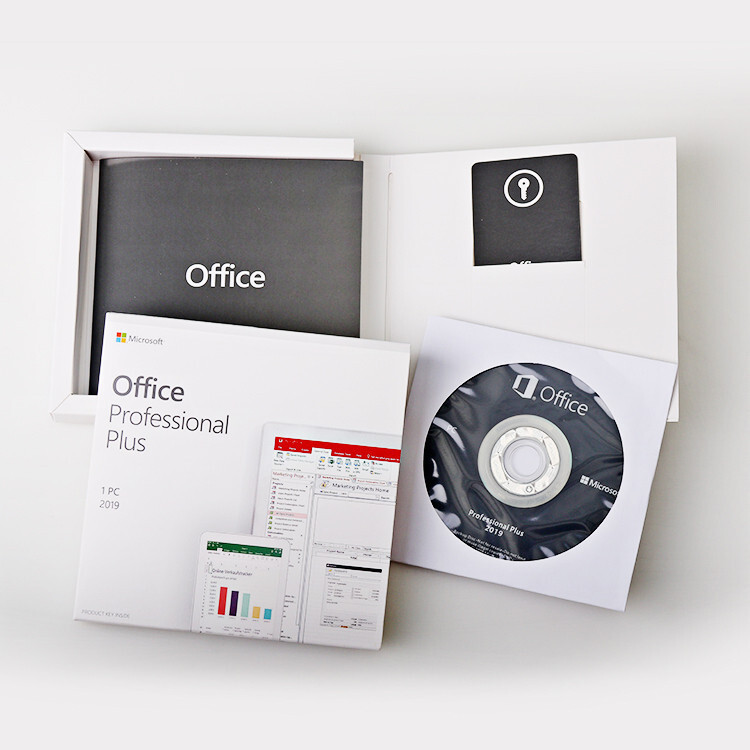 MICROSOFT Office Professional Plus 2019 (1 User/PC, Lifetime Validity) DVD Retail Pack - Image 3